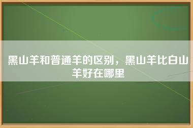 黑山羊和普通羊的区别，黑山羊比白山羊好在哪里