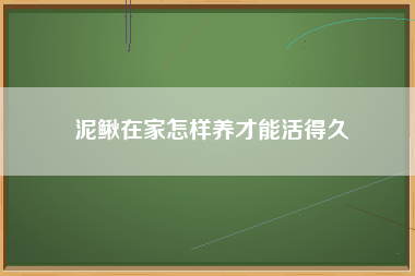泥鳅在家怎样养才能活得久