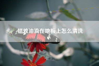 蜡烛油滴在地板上怎么清洗