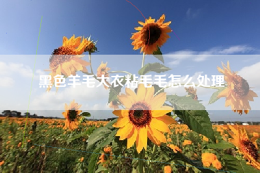 黑色羊毛大衣粘毛毛怎么处理