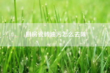 厨房瓷砖油污怎么去除
