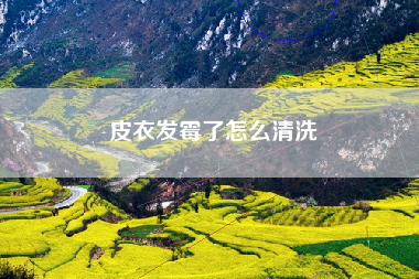 皮衣发霉了怎么清洗