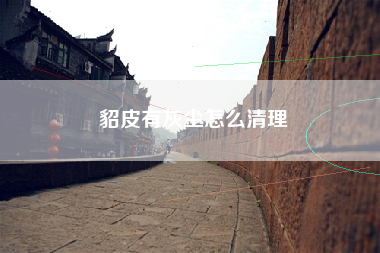 貂皮有灰尘怎么清理