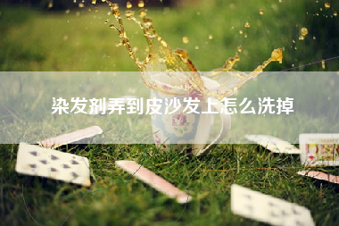 染发剂弄到皮沙发上怎么洗掉