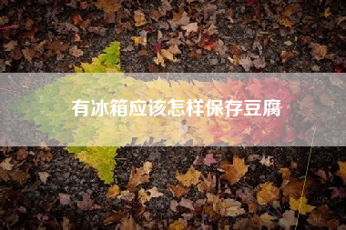 有冰箱应该怎样保存豆腐