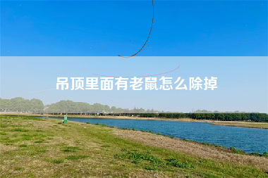 吊顶里面有老鼠怎么除掉