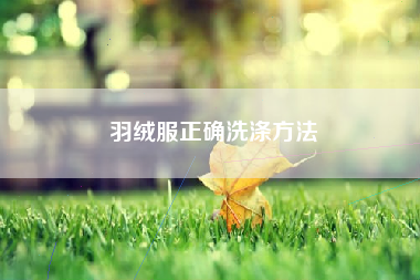 羽绒服正确洗涤方法