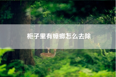 柜子里有蟑螂怎么去除