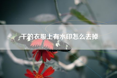 干的衣服上有水印怎么去掉