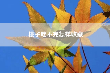 桃子吃不完怎样收藏