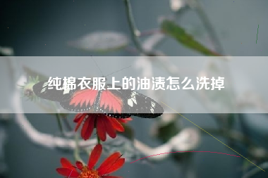 纯棉衣服上的油渍怎么洗掉