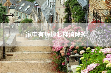 家中有蟑螂怎样消除掉