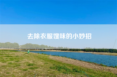 去除衣服馊味的小妙招