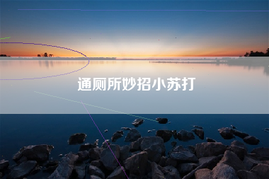 通厕所妙招小苏打