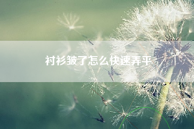 衬衫皱了怎么快速弄平