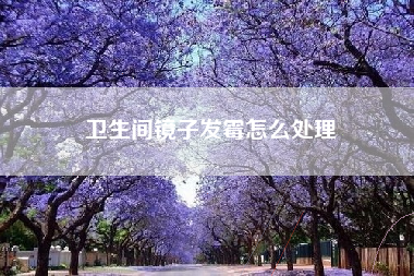 卫生间镜子发霉怎么处理