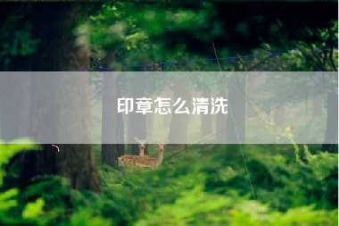 印章怎么清洗