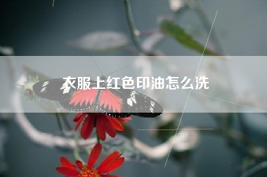 衣服上红色印油怎么洗