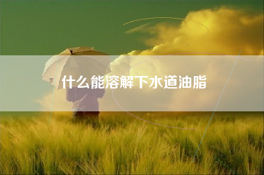 什么能溶解下水道油脂