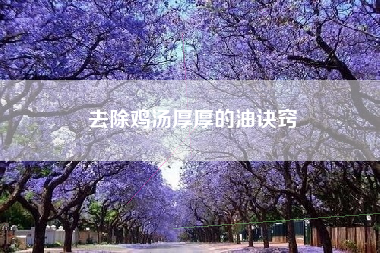 去除鸡汤厚厚的油诀窍