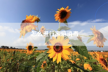 怎么进行家庭消毒