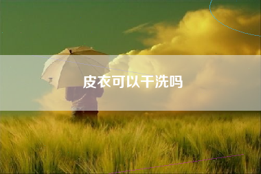 皮衣可以干洗吗