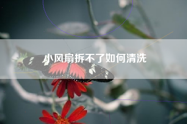 小风扇拆不了如何清洗
