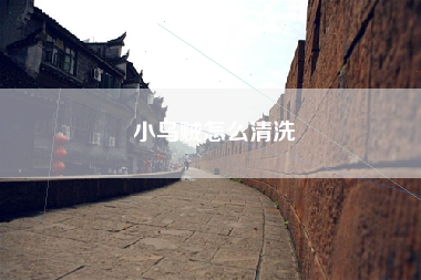 小乌贼怎么清洗