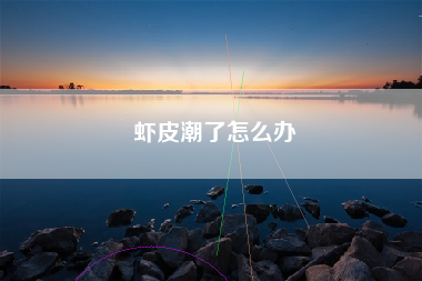 虾皮潮了怎么办