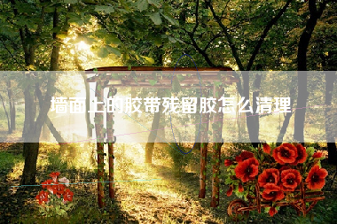 墙面上的胶带残留胶怎么清理