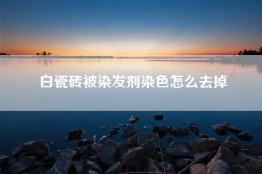 白瓷砖被染发剂染色怎么去掉