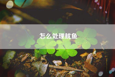 怎么处理鱿鱼
