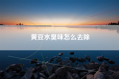 黄豆水臭味怎么去除