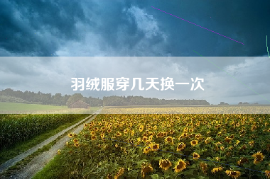 羽绒服穿几天换一次