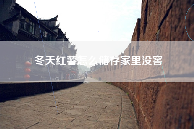 冬天红薯怎么储存家里没窖