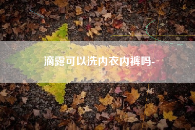 滴露可以洗内衣内裤吗-