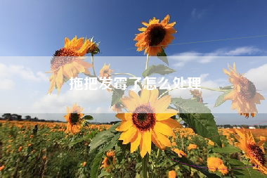 拖把发霉了怎么处理