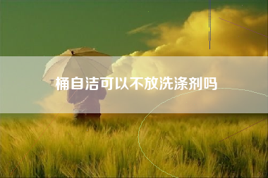 桶自洁可以不放洗涤剂吗