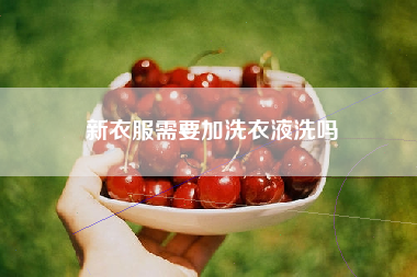 新衣服需要加洗衣液洗吗