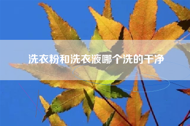 洗衣粉和洗衣液哪个洗的干净