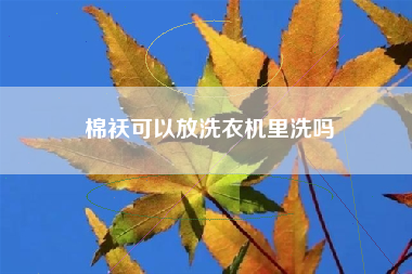 棉袄可以放洗衣机里洗吗