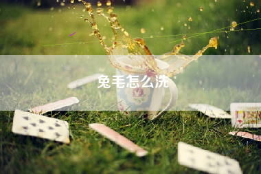 兔毛怎么洗