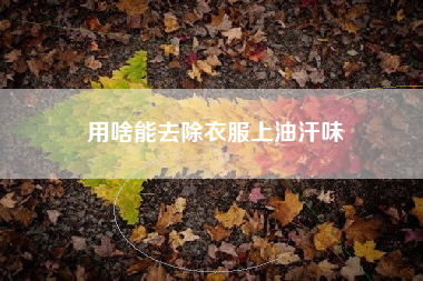 用啥能去除衣服上油汗味