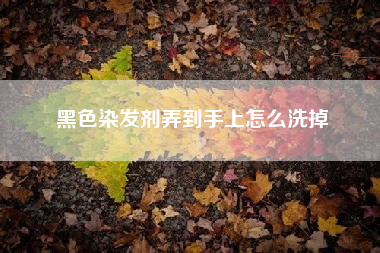 黑色染发剂弄到手上怎么洗掉