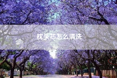 枕头芯怎么清洗