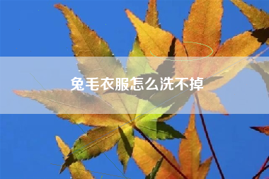 兔毛衣服怎么洗不掉
