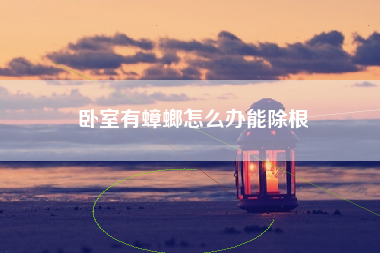卧室有蟑螂怎么办能除根