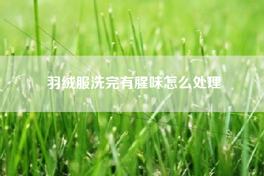 羽绒服洗完有腥味怎么处理
