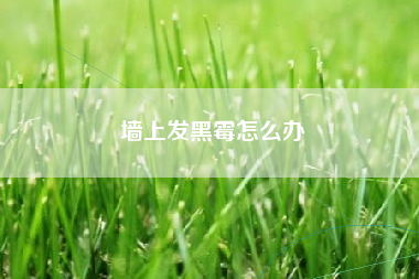 墙上发黑霉怎么办