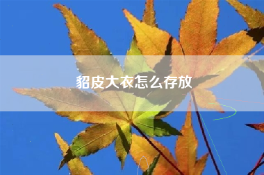 貂皮大衣怎么存放